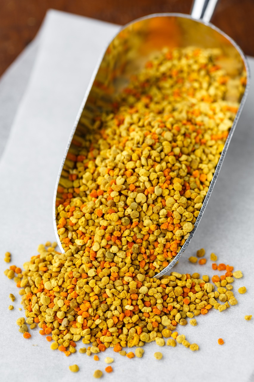 pollen, grain, yellow-2543292.jpg